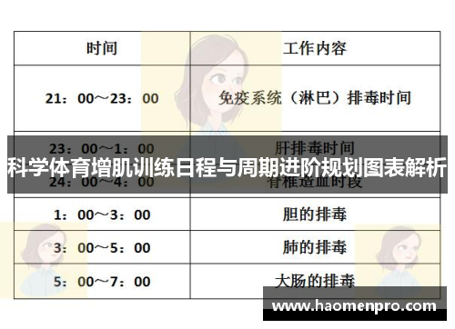 科学体育增肌训练日程与周期进阶规划图表解析